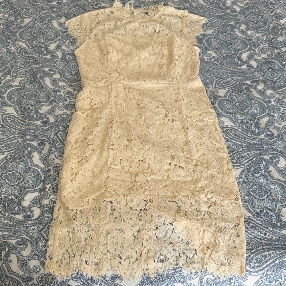 Elegant Cream Lace Dress new